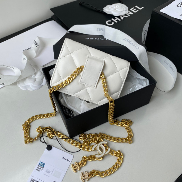 CL CLUTCH WITH CHAIN