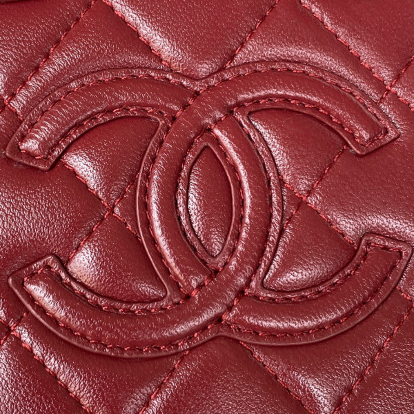 CL VANITY CASE