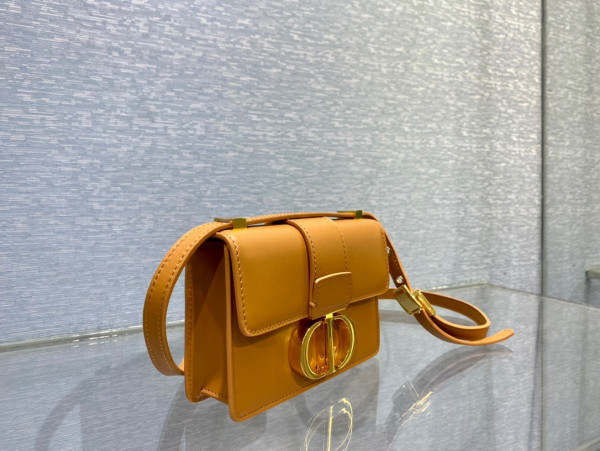 D*or 30 montaigne bag