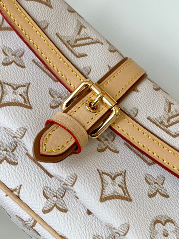l**is V*t*n maxi multi pochette accessoires