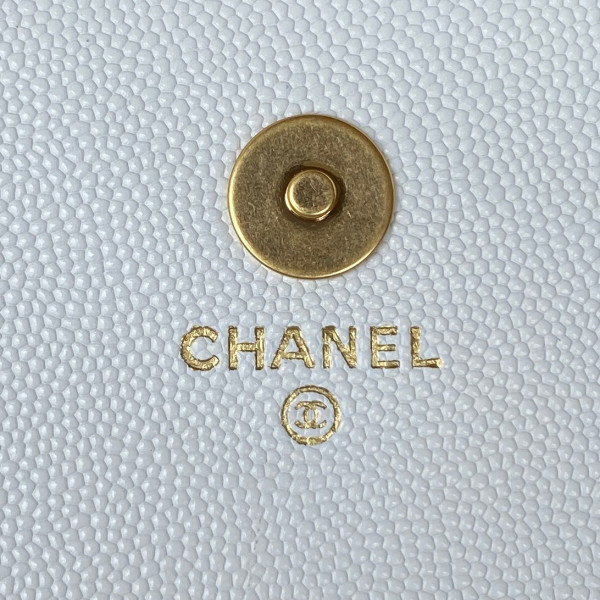 CL FLAP BAG