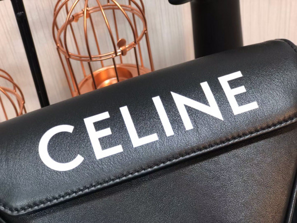 Ce**e triangle bag