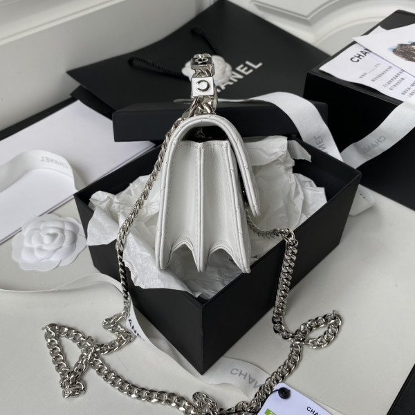 CL CLUTCH WITH CHAIN