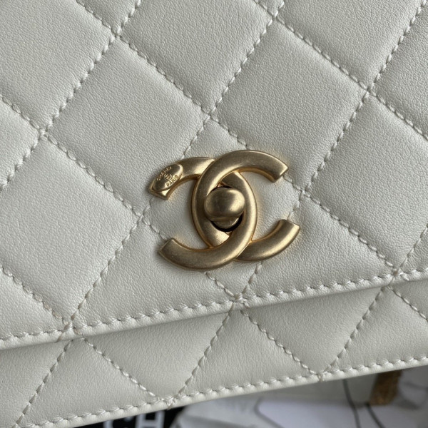 CL FLAP BAG