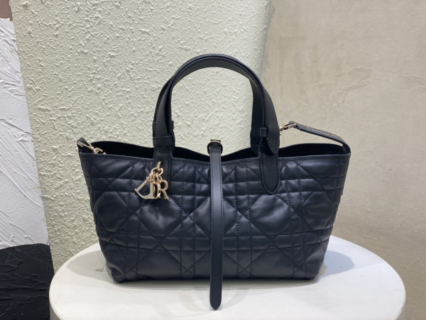 D*or small toujours bag