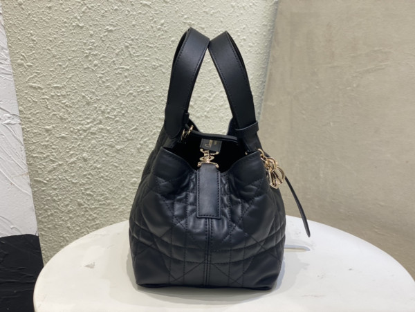 D*or small toujours bag