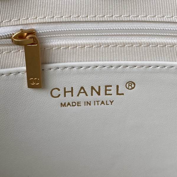 CL LARGE HOBO BAG