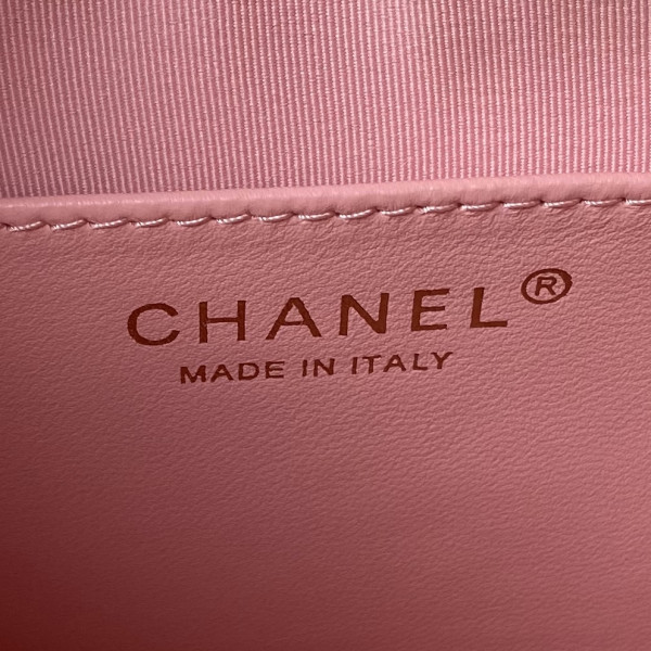 CL HOBO BAG