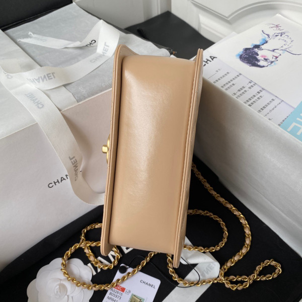 CL FLAP BAG -12X19X8CM