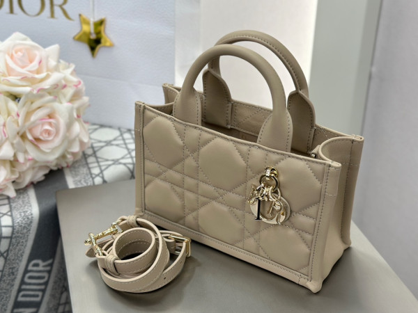 D*or mini book tote-21.5*13*7.5cm