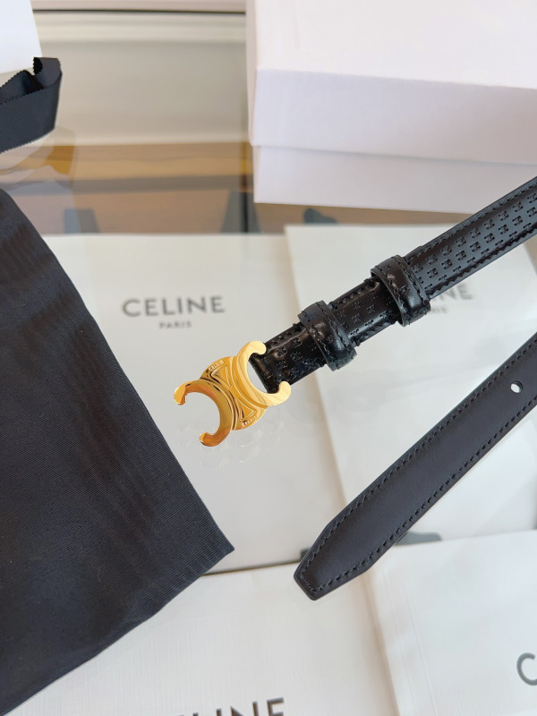 Ce**e belt-gold/silver